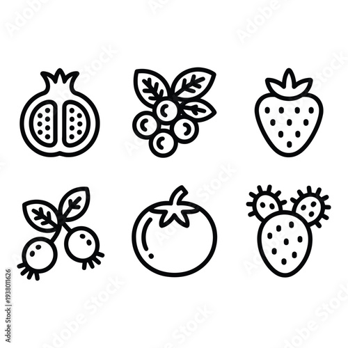 Assortment of healthy fruit and berry line art symbols for dietary designs
