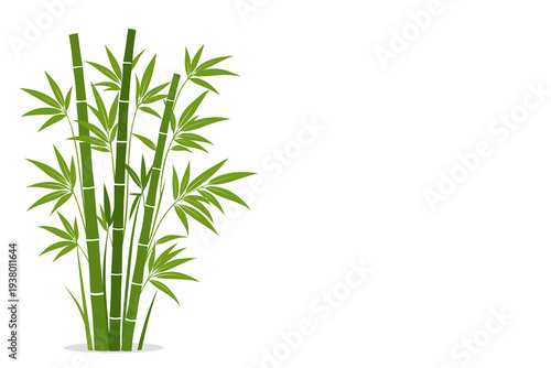 bamboo leaves isolated on white