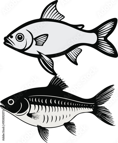 Minimalist early fry stage fish vector sticker, bold black thick clean outline, pure white background