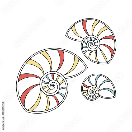 Set of 3 colorful nautilus shell icons vector