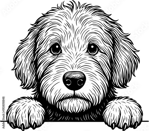 The dog is a cute puppy with fluffy fur. Black and white illustration of a cute puppy with expressive eyes and textured fur, made in vector style.