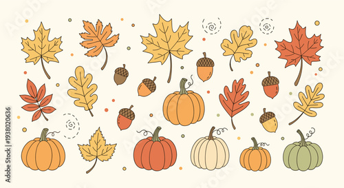 Autumn harvest illustration featuring pumpkins maple leaves acorns and oak leaves on a cream background with scattered dots
