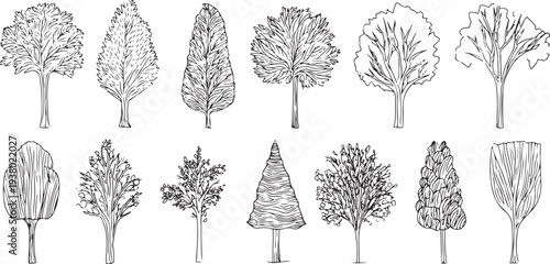 Collection of twelve distinct black and white tree