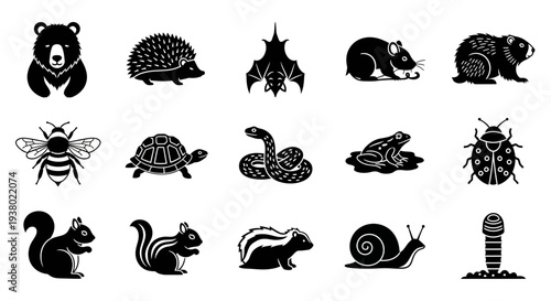 Collection of Black and White Forest Animal Silhouettes.