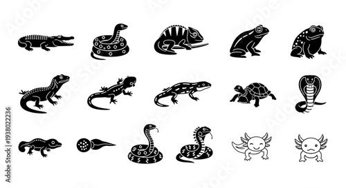 Collection of Black and White Silhouette Icons of Reptiles and Amphibians.