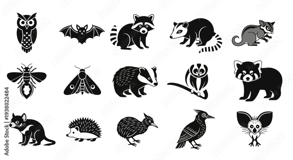 Fototapeta premium Collection of Nocturnal and Forest Animals Silhouettes.