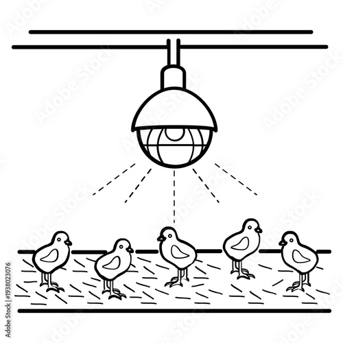 chicks under heat lamp concept, poultry brooding heat system vector icon design