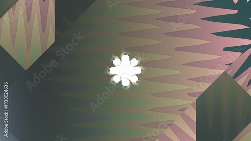 White Flower on Wooden Floor with Shadows.