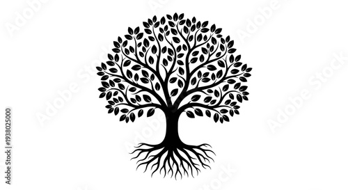 Black silhouette of a tree with roots and leaves on a white background branches nature