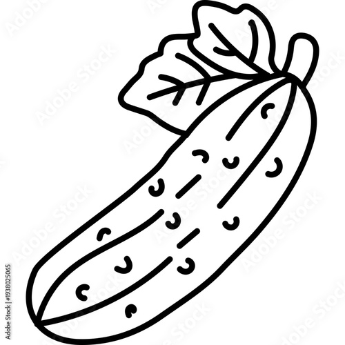 Outline Cucumber Icon