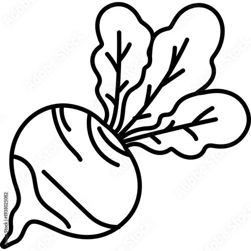 Radish Outline Icon