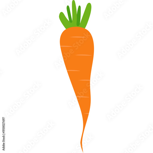 Isolated Carrot Illustration