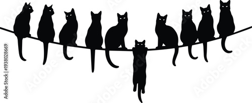 Cats sitting on wire silhouettes collection, cute kitten pets perched on line, playful domestic animal vector illustration set