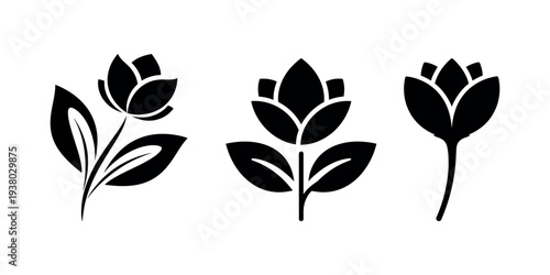 Three black tulip silhouettes on a white background silhouette