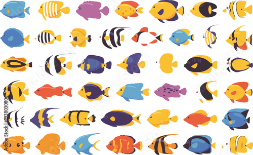 Vibrant tropical reef fish vector set with diverse exotic species for aquarium marine life education and underwater