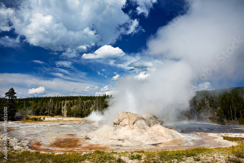 Photography Grotto Geyser erupts in Yellowstone National Park, Wyoming