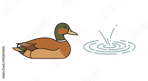 Duck Swimming in Water Vector Illustration.