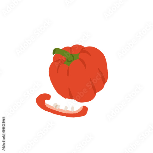 Bell pepper growing stages and varieties set with red, yellow and green capsicum, seedlings, seeds and plant on vine. Flat vector illustration of organic gardening and harvest collection