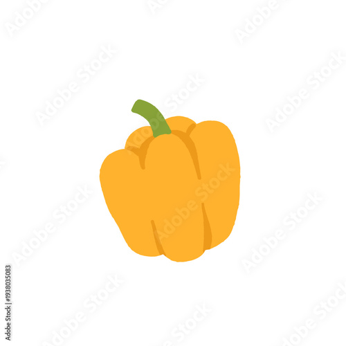 Bell pepper growing stages and varieties set with red, yellow and green capsicum, seedlings, seeds and plant on vine. Flat vector illustration of organic gardening and harvest collection