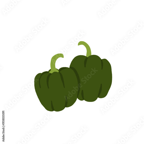 Bell pepper growing stages and varieties set with red, yellow and green capsicum, seedlings, seeds and plant on vine. Flat vector illustration of organic gardening and harvest collection