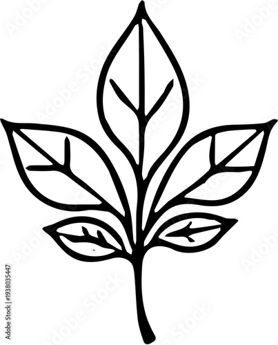 vector illustration a leaf 