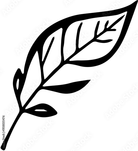 vector silhoutte a leaf