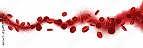 Red cells in a stream flow vein artery circulation