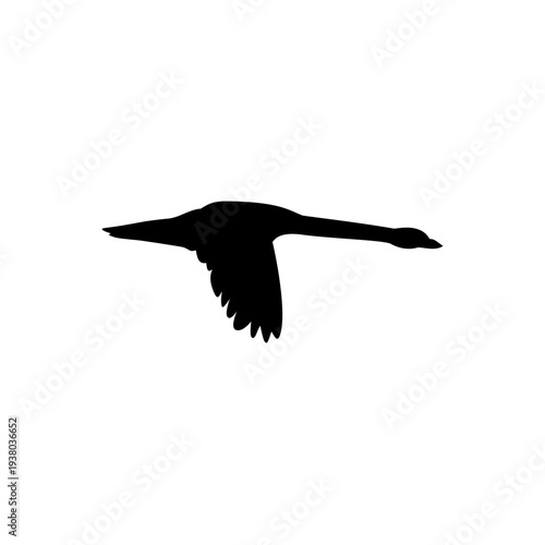 Black Swan Silhouette Vector Illustration