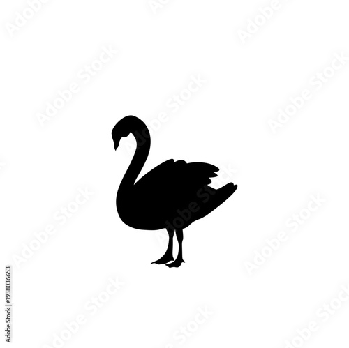 Black Swan Silhouette Vector Illustration