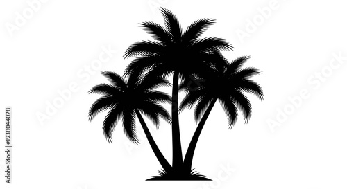 Silhouette of Three Palm Trees.