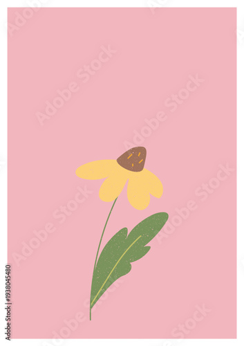 Flower Stem On Pastel Background