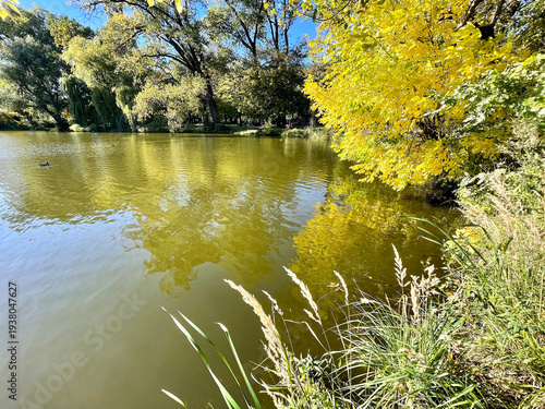 Pond in the Southern Park in Kaliningrad in autumn