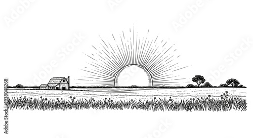 Tractor in field at sunrise.