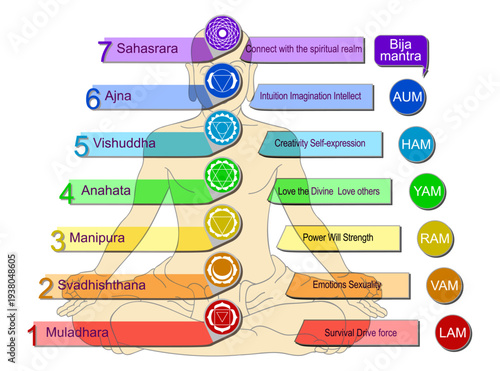 Flow of Subtle Energy Through System of Six Chakras and the Sahasrara Center. Human Body in a Lotus Position. Bija Mantras Vibrations Sound of the Deities. Esoteric Buddhism.