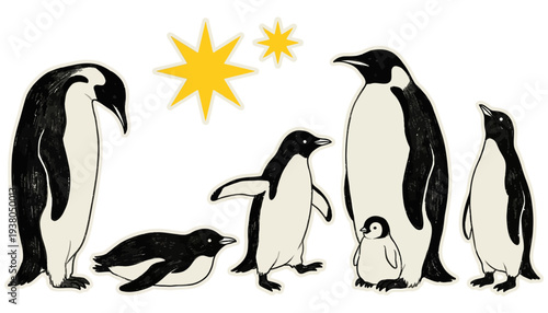 A collection of black and white penguins including adults and a chick arranged with yellow starbursts on a plain background baby penguin family animal wildlife antarctica