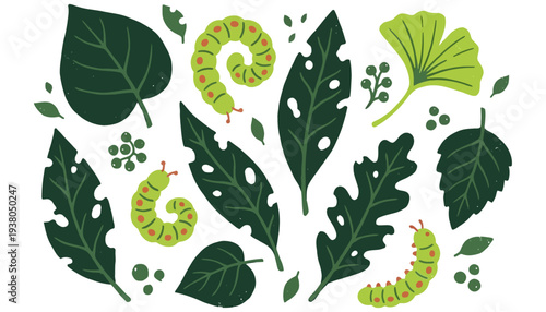Collection of green caterpillars and various torn leaves in a playful flat illustration style with a white backdrop leaf insect nature animal garden garden pest organic food