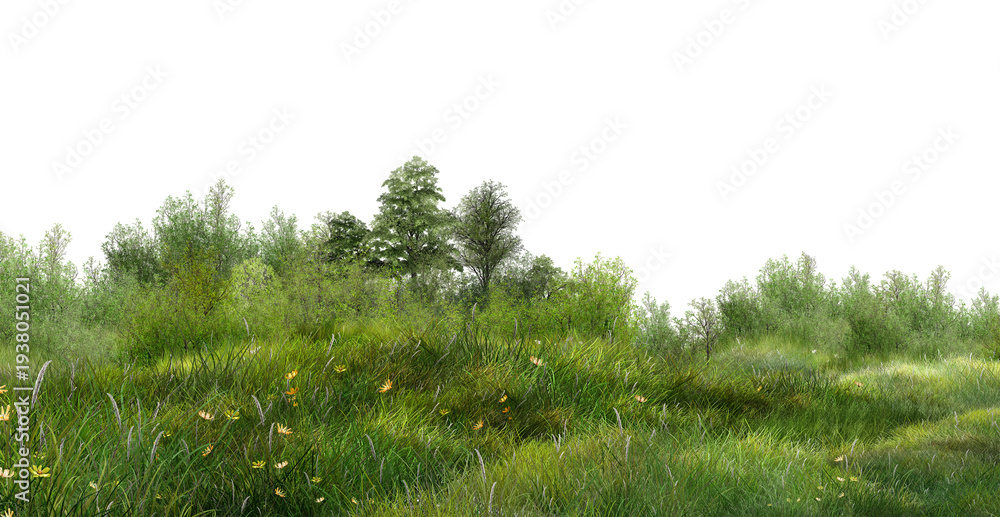 Fototapeta premium green grass on white background/Lush green meadow with tall grass, wildflowers, and trees in a natural landscape, fresh countryside scenery isolated on a white background.
