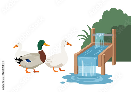 Ducks gathered near a wooden water feature with flowing water in a serene environment viewed from the side