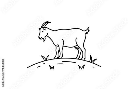 A goat standing on a hill with grass and plants around it, viewed from the side.