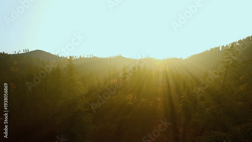 Fotografía sunlight bursting over misty hills, intense golden rays cutting through treetops