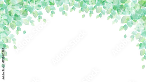 透明感のある新緑のフレームイメージ