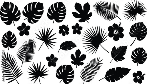 Tropical black leaves and flowers vector illustration collection with monstera, palm, fig jungle elements