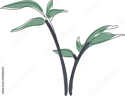 A twig with green leaves in line art isolated on white background