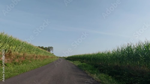 POV driving in france with corn monoculture