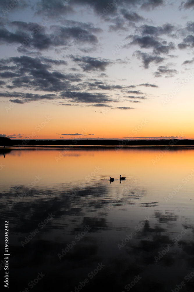 Fototapeta premium Duck Pair Silhouette grey Skies Orange Sunset, Stony Brook NY (Portrait)