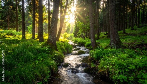 Sun rays illuminate a vibrant forest with a small stream meandering through green foliage and tall trees
