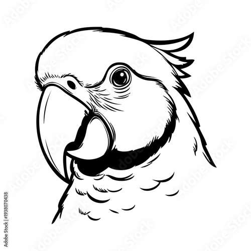 Dibujo sencillo con líneas de la cabeza de un loro vista de perfil 