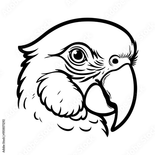 Dibujo sencillo con líneas de la cabeza de un loro vista de perfil 