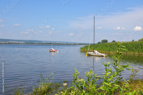 Bild auf Leinwand Sommer an der Talsperre Kelbra