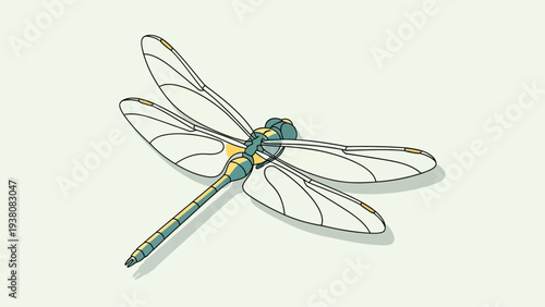 Minimalist stylized illustration of a dragonfly insect on a pale background